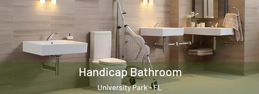 Handicap Bathroom University Park - FL